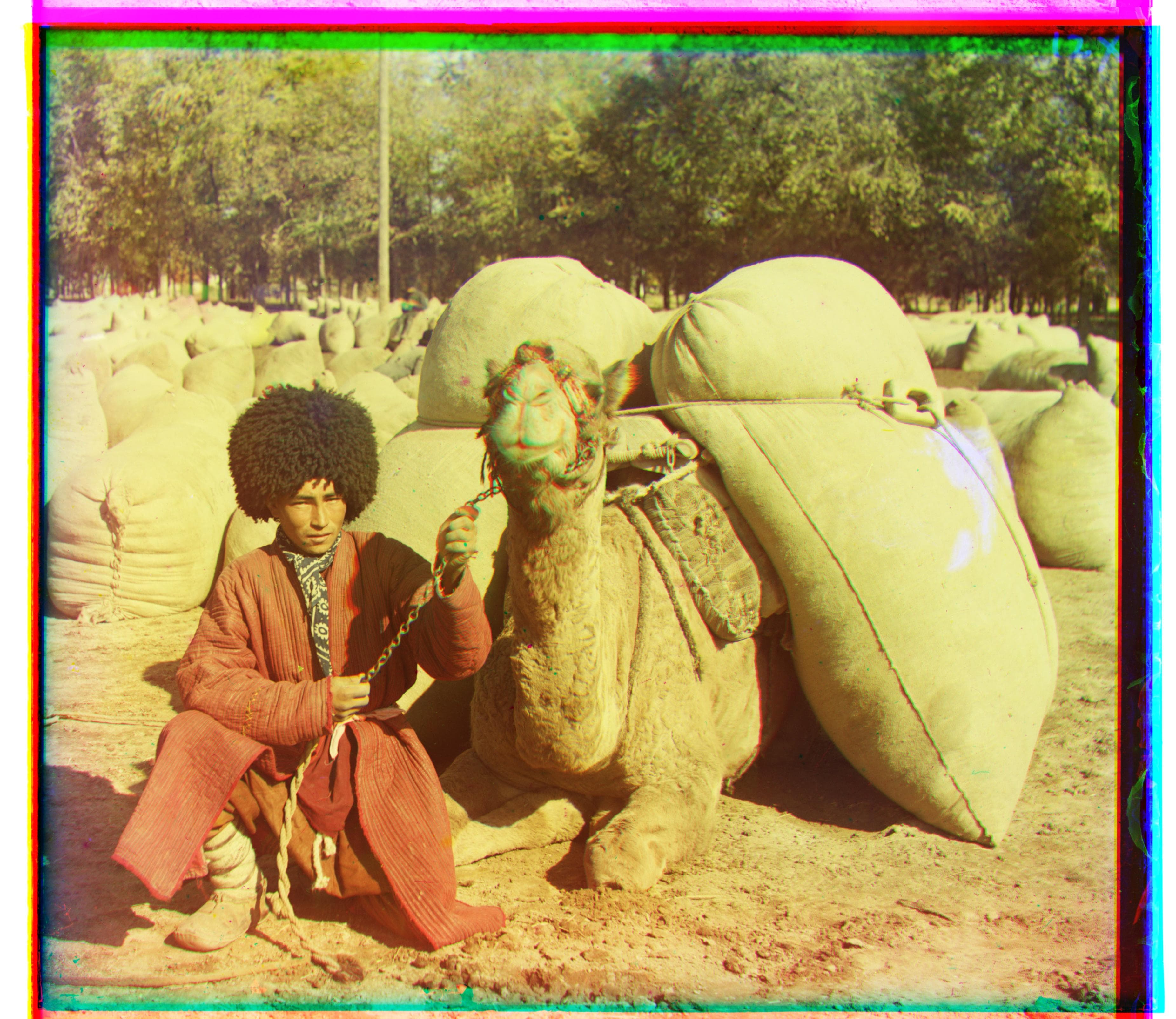 Aligned result for _camel_pyramid_ncc.jpg