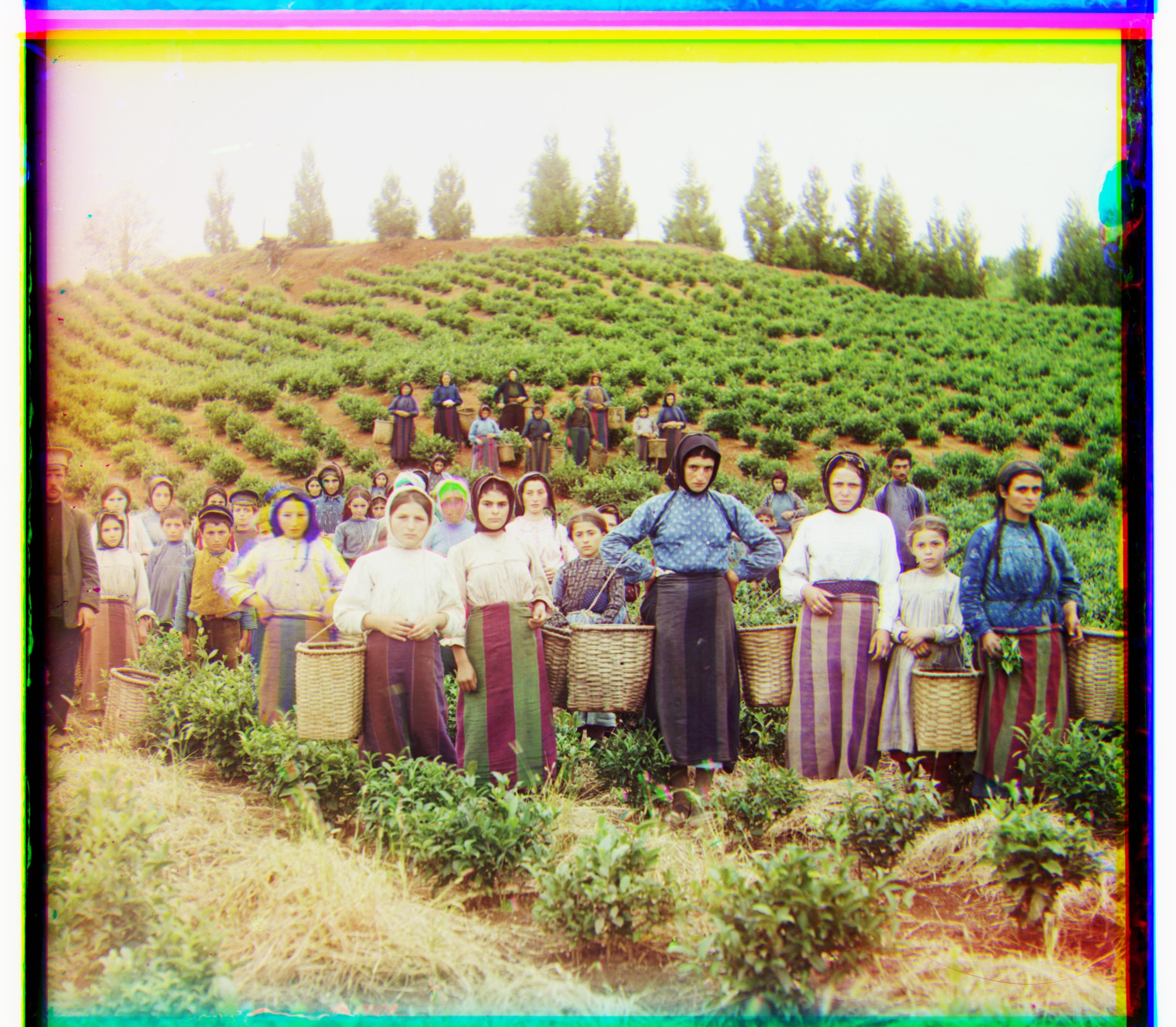 Aligned result for harvesters_pyramid_ncc.jpg